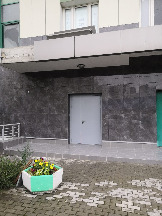 vfnp12
